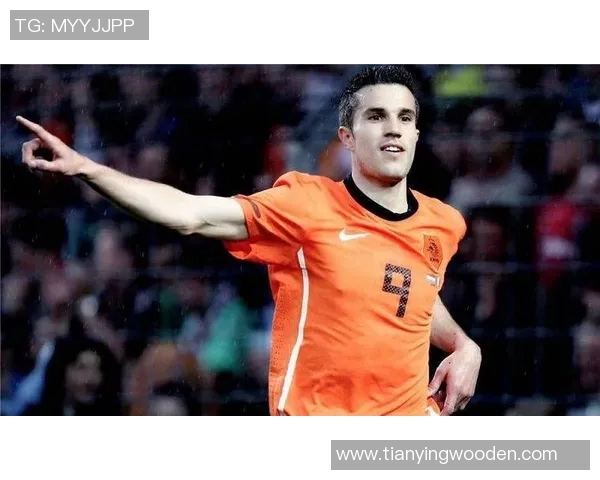爱上荷兰足球明星的魅力与成就盘点与推荐