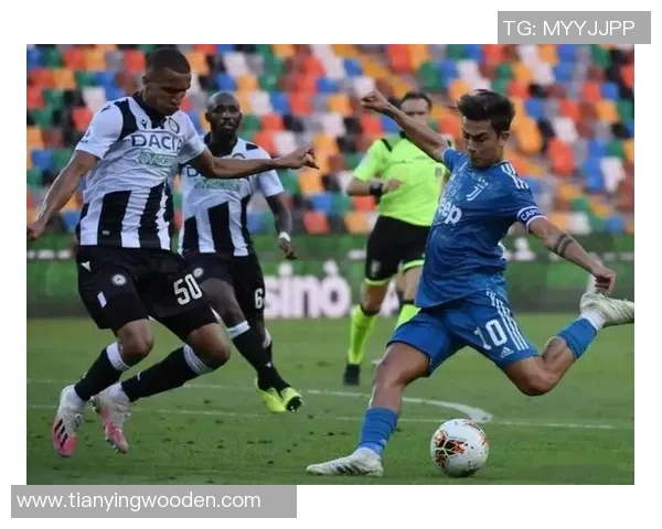 南安联主场迎战查尔顿期待精彩对决与胜利的诞生