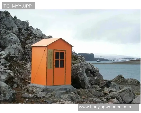 琼斯的探索之旅:揭开科学与人文交汇的神秘面纱 琼斯的探索之旅:揭开科学与人文交汇的神秘面纱