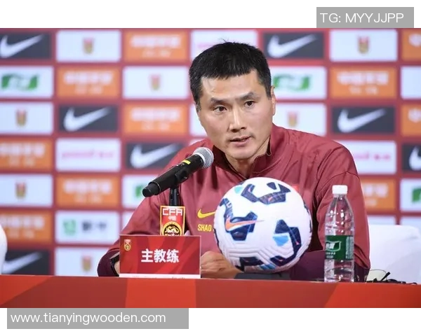 国足拼搏奋进世界杯出线之路展现中国足球新希望与梦想