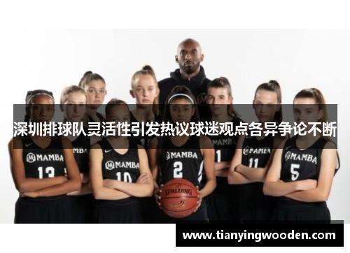深圳排球队灵活性引发热议球迷观点各异争论不断