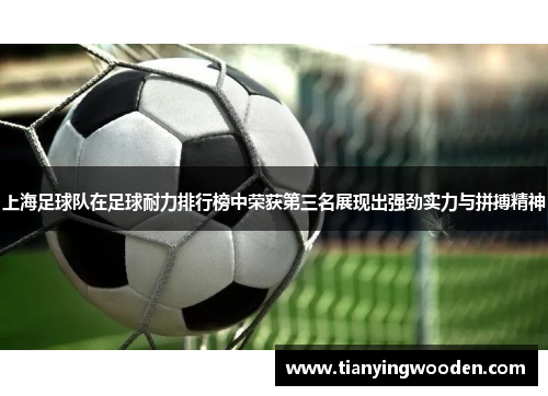 上海足球队在足球耐力排行榜中荣获第三名展现出强劲实力与拼搏精神