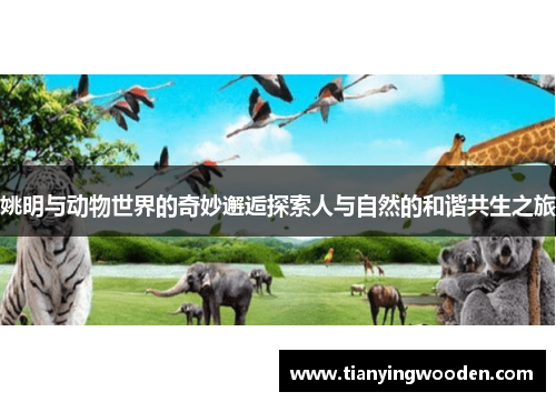 姚明与动物世界的奇妙邂逅探索人与自然的和谐共生之旅