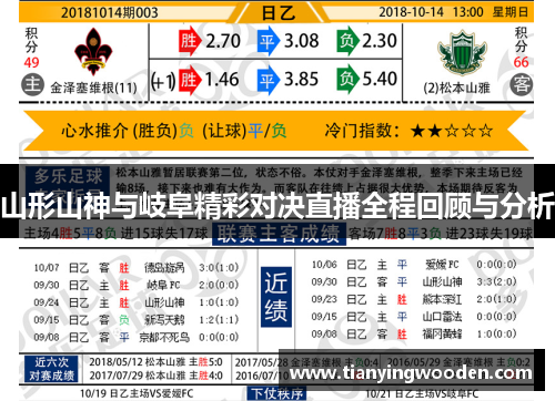 山形山神与岐阜精彩对决直播全程回顾与分析