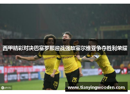 西甲精彩对决巴塞罗那迎战强敌塞尔维亚争夺胜利荣耀