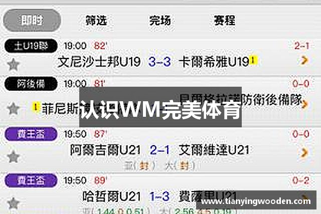 认识WM完美体育